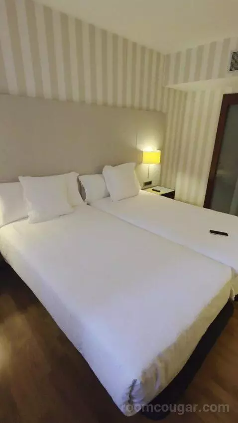 Double or Twin Room bed picture #1