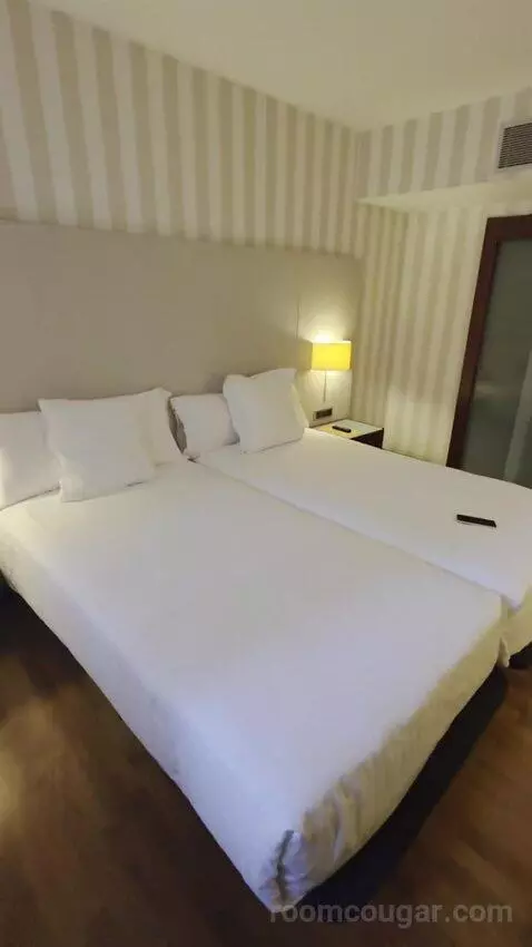 Double or Twin Room bed picture #2