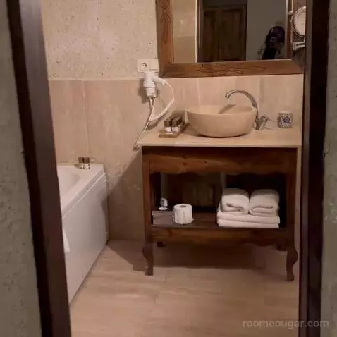 Standard (#4) bathroom picture #5