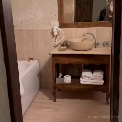 Standard (#4) bathroom picture #6