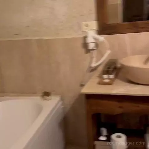 Standard (#4) bathroom picture #12