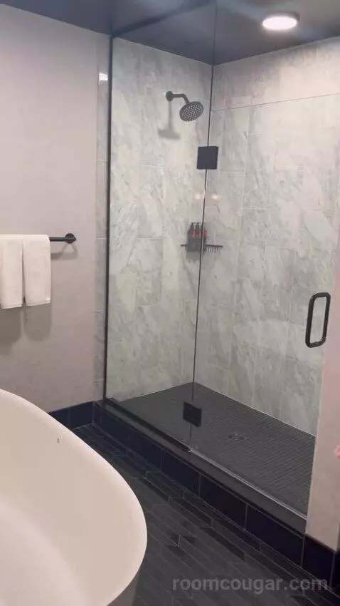 King Loft Suite (#1408) bathroom picture #11