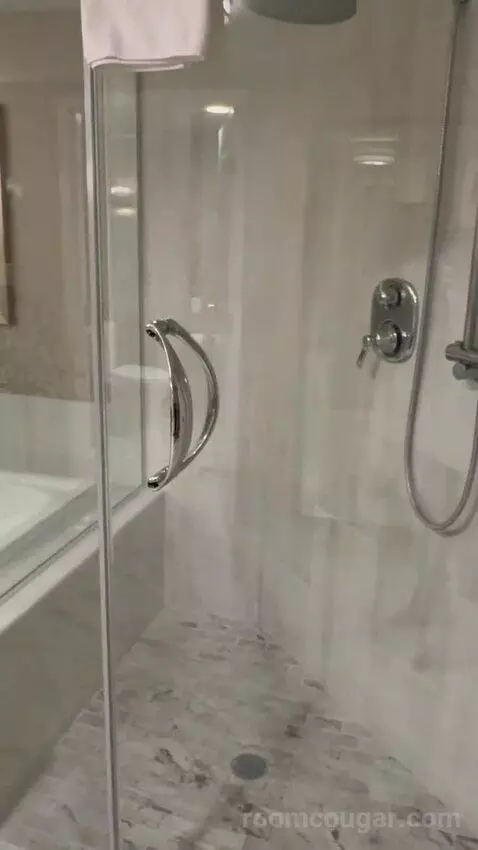 Bordeaux Lemans Suite King (1150P) bathroom picture #3