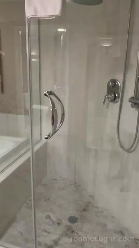 Bordeaux Lemans Suite King (1150P) bathroom picture #4