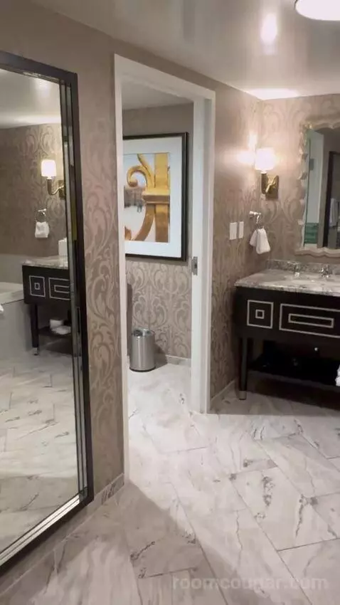 Bordeaux Lemans Suite King (1150P) bathroom picture #1