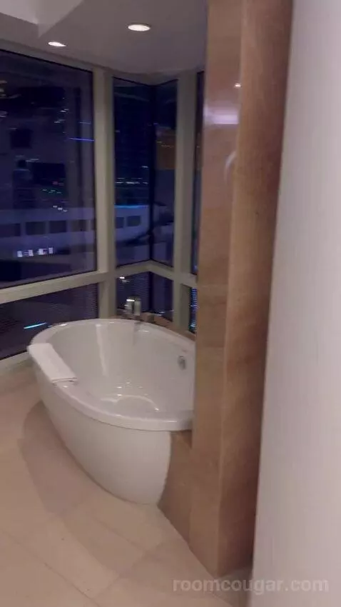 Corner Suite Panoramic View (#12125) bathroom picture #8