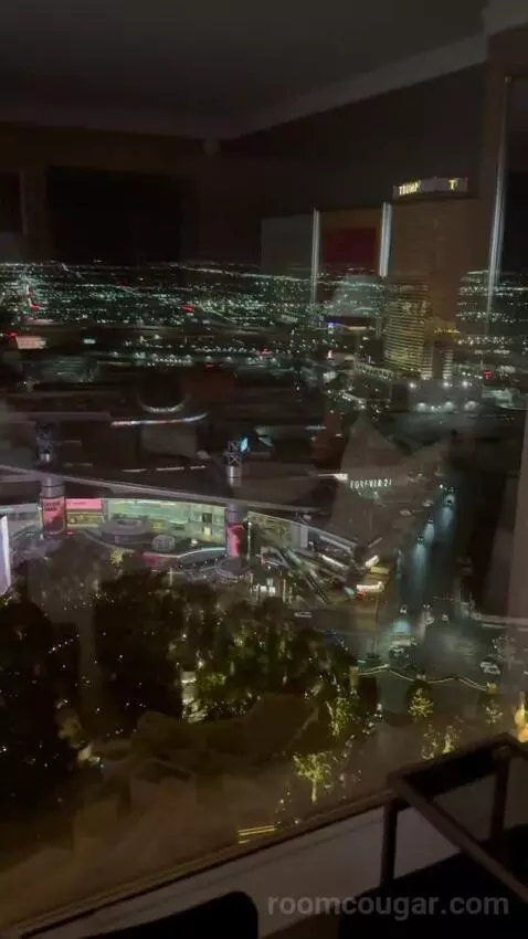 Wynn Panoramic View King (#37-31) view picture #4