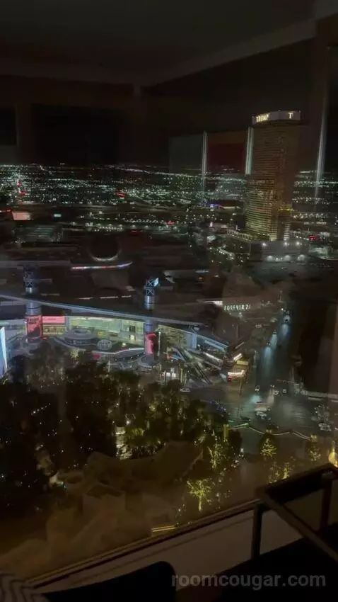Wynn Panoramic View King (#37-31) view picture #7