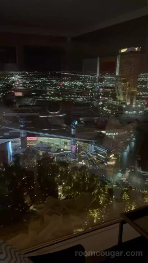 Wynn Panoramic View King (#37-31) view picture #9