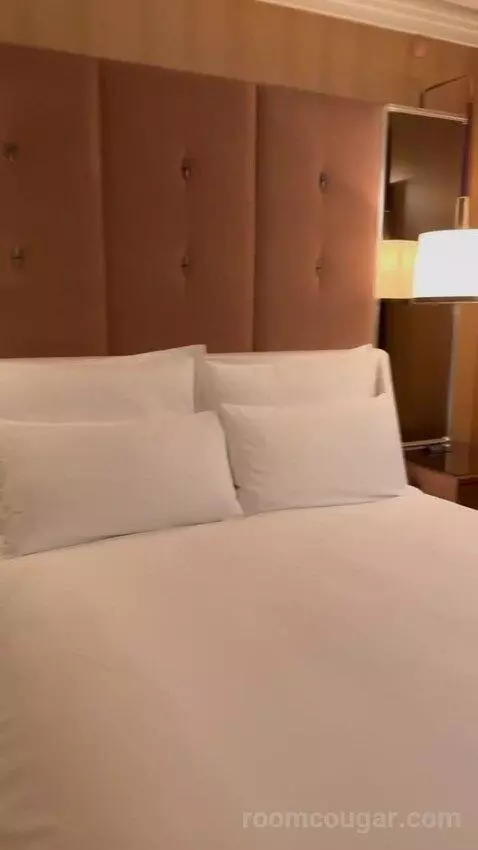 Wynn Panoramic View King (#37-31) bed picture #7