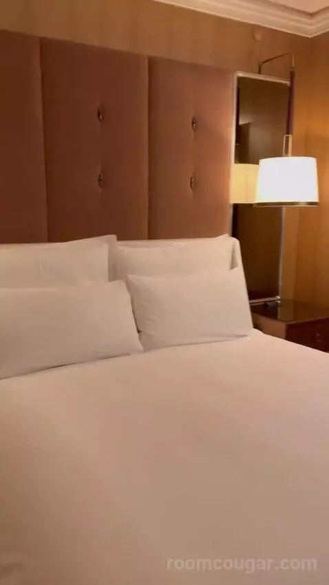 Wynn Panoramic View King (#37-31) bed picture #8