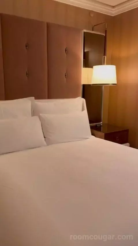Wynn Panoramic View King (#37-31) bed picture #9