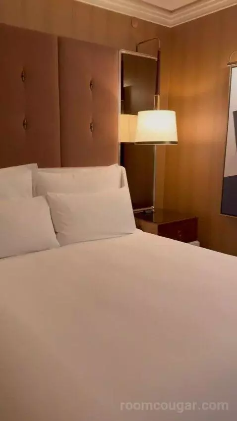 Wynn Panoramic View King (#37-31) bed picture #10