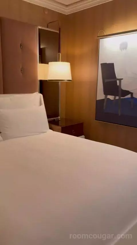 Wynn Panoramic View King (#37-31) bed picture #12