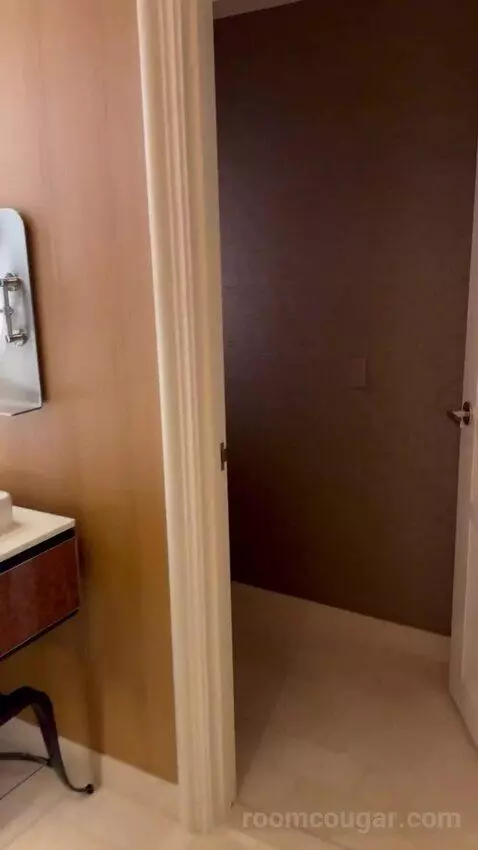 Wynn Panoramic View King (#37-31) bathroom picture #4