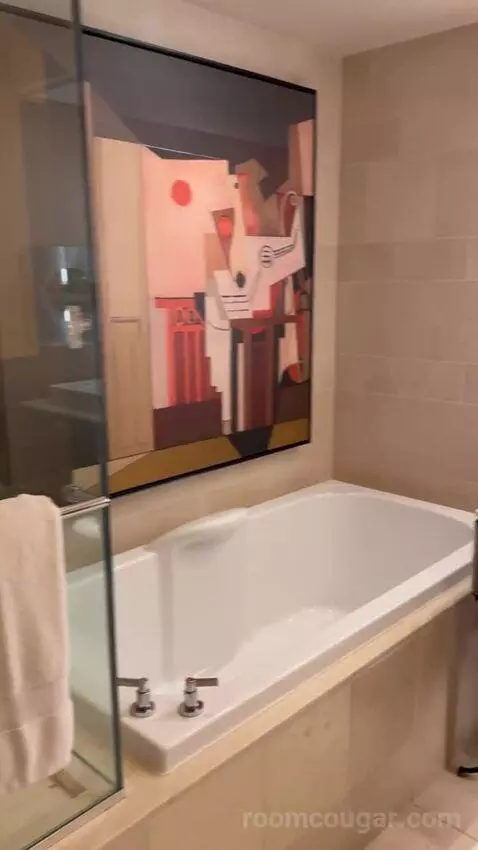 Wynn Panoramic View King (#37-31) bathroom picture #10