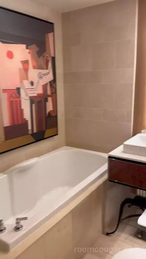 Wynn Panoramic View King (#37-31) bathroom picture #12