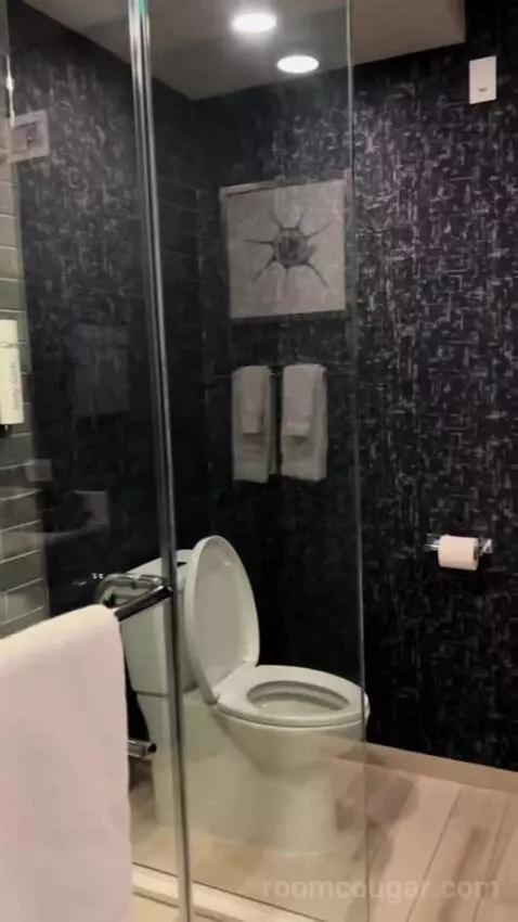King Room (#502) bathroom picture #3