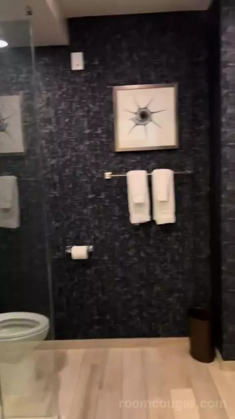 King Room (#502) bathroom picture #4
