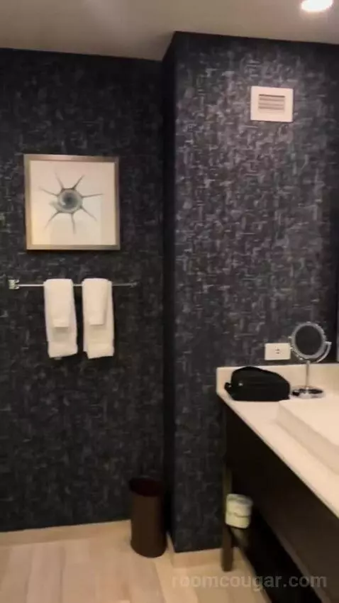 King Room (#502) bathroom picture #6