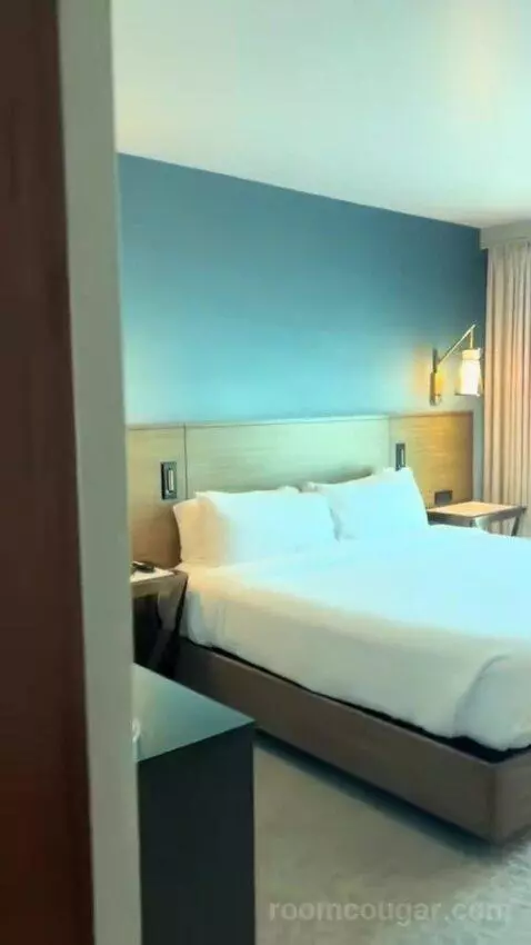 King Room (#502) bed picture #2