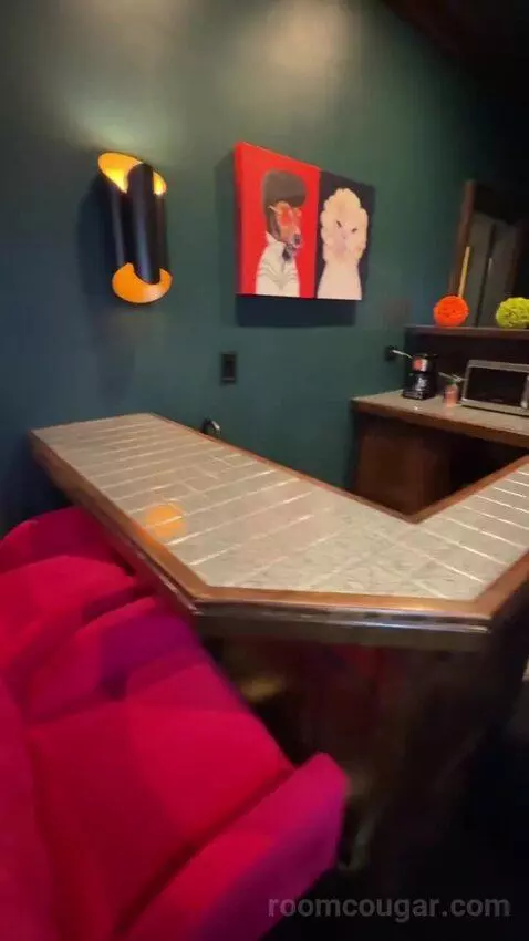 Celebrity Club Suite (#28121) picture #15