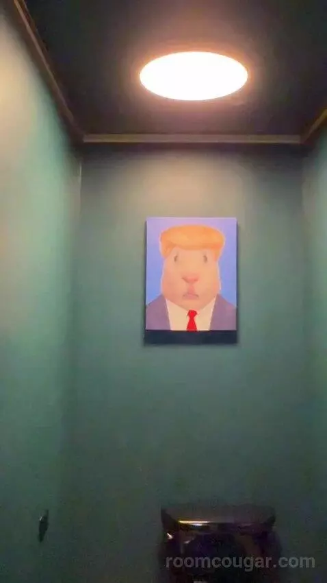 Celebrity Club Suite (#28121) picture #17