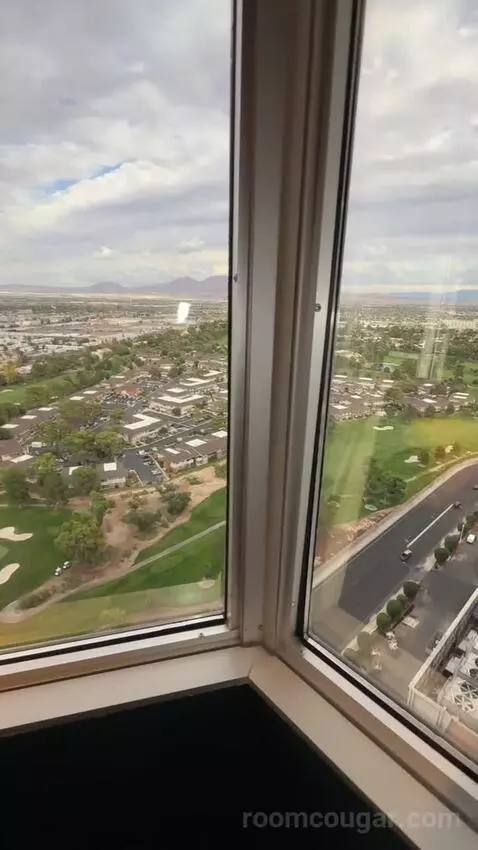 Celebrity Club Suite (#28121) picture #10