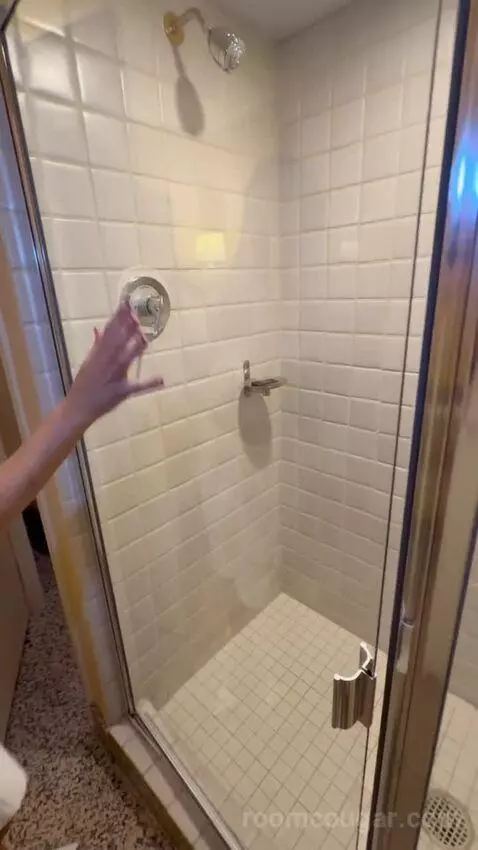 I Do Suite (#2962-63) bathroom picture #6