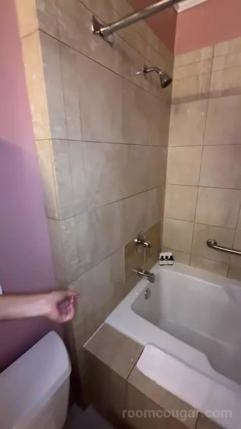 Flower Suite (#28118) bathroom picture #11