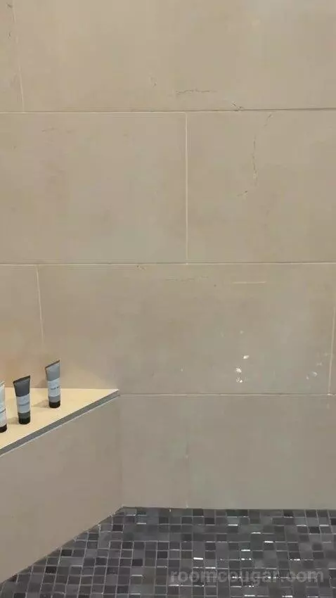 Luxe Room (#20-138) bathroom picture #7