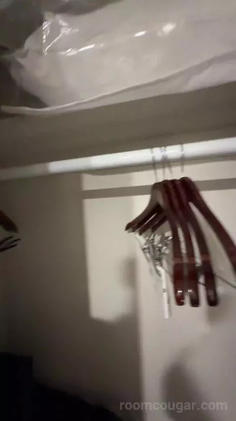 Premier Room (#1889) picture #10