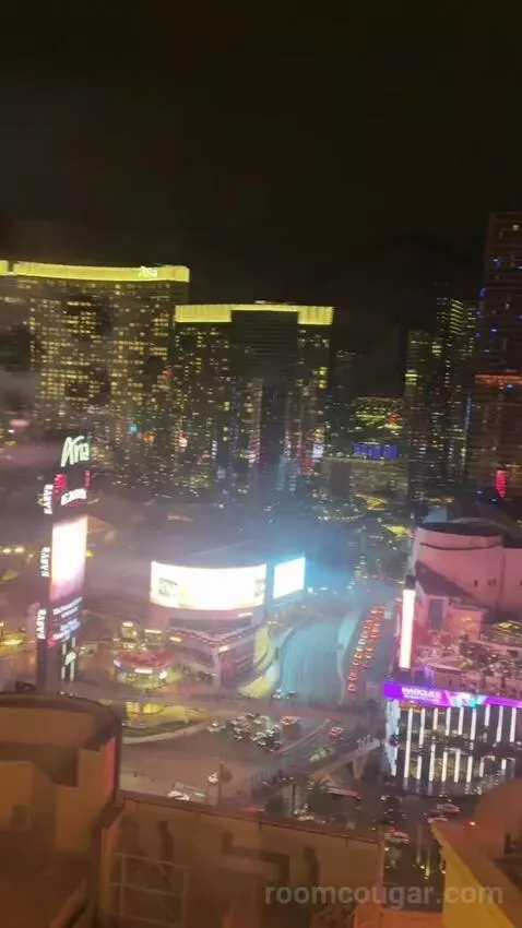 Ultra Boulevard Suite, 1 King (#3407) view picture #8