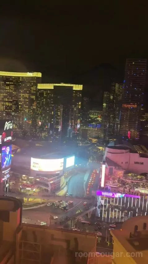 Ultra Boulevard Suite, 1 King (#3407) view picture #10