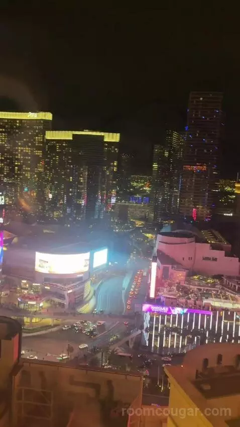 Ultra Boulevard Suite, 1 King (#3407) view picture #12