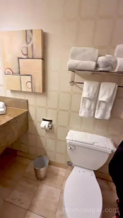 Carson Tower Deluxe with Two Double Beds (#1461) bathroom picture #7
