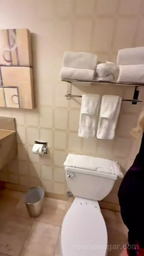 Carson Tower Deluxe with Two Double Beds (#1461) bathroom picture #8