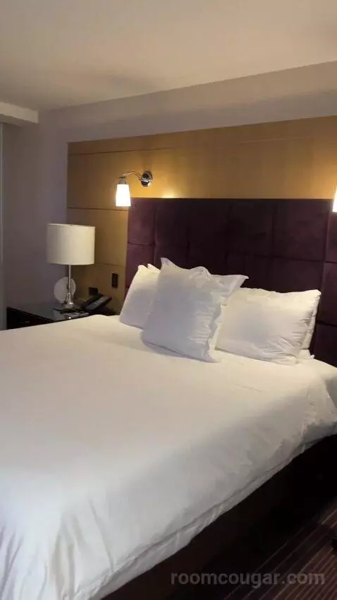 Stay Well Deluxe King Room (#23235) bed picture #2
