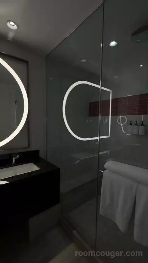 Premium King Room with City View (#25283) bathroom picture #1