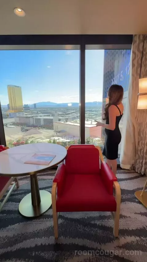 Premium King Room with Strip View (#18282) view picture #7