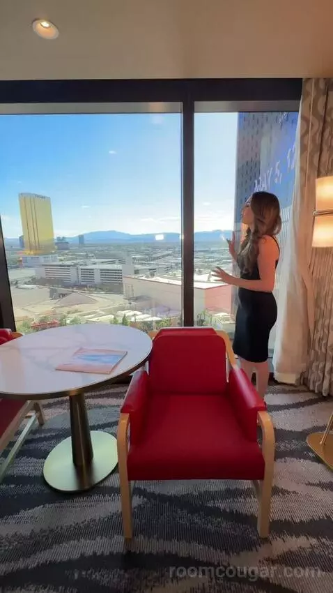 Premium King Room with Strip View (#18282) view picture #8