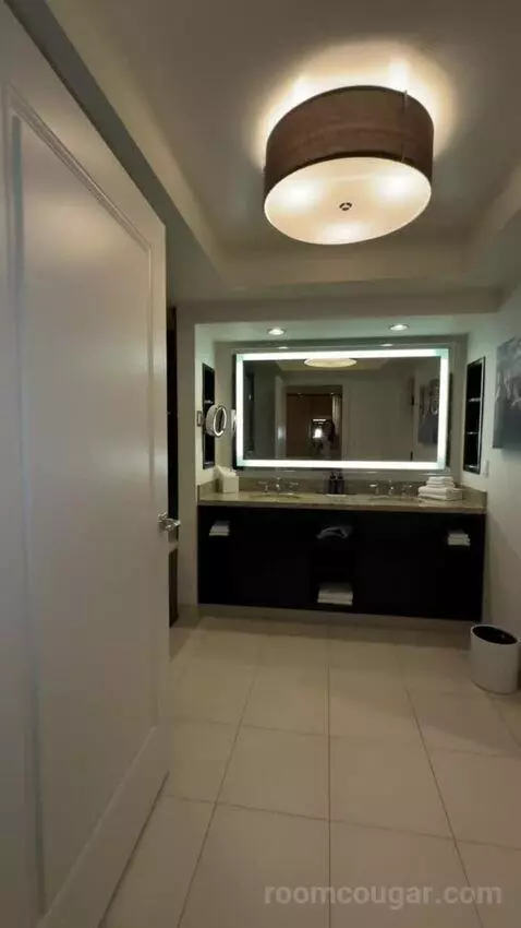 W Premiere King (#38908) bathroom picture #1
