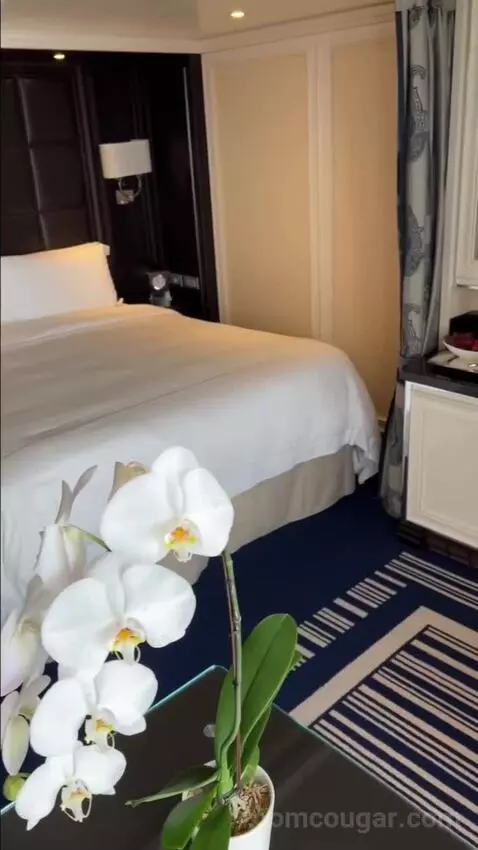 Balcony Cabin bed picture #11
