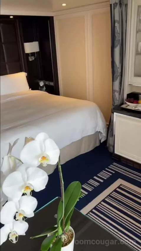 Balcony Cabin bed picture #12