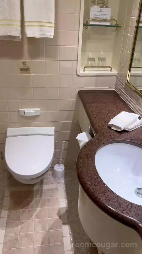 Suite bathroom picture #7