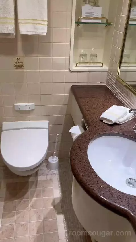 Suite bathroom picture #8