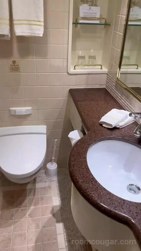 Suite bathroom picture #9