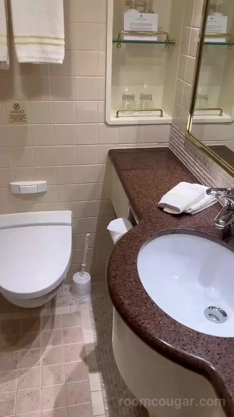 Suite bathroom picture #10