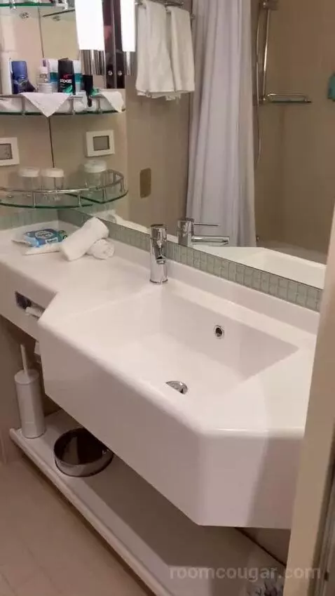 Suite (B519) bathroom picture #5