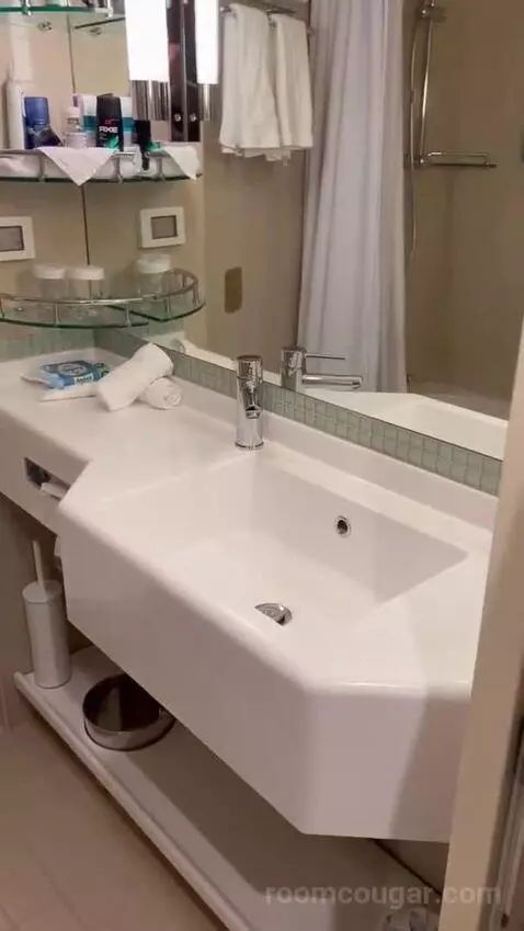 Suite (B519) bathroom picture #6